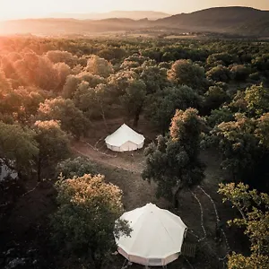  Glamping Lodg'ing Nature Camp Luberon Francia